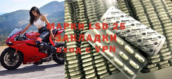 индика Аркадак