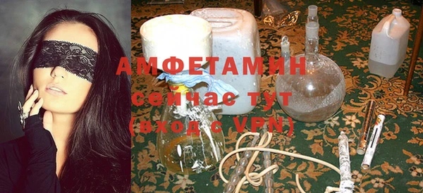 индика Аркадак