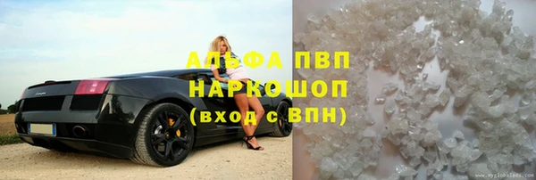 индика Аркадак