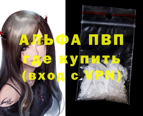 индика Аркадак
