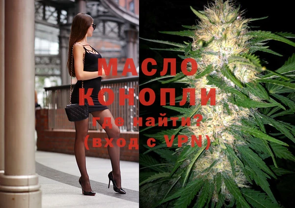 индика Аркадак