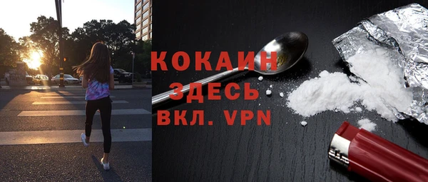 индика Ижевск