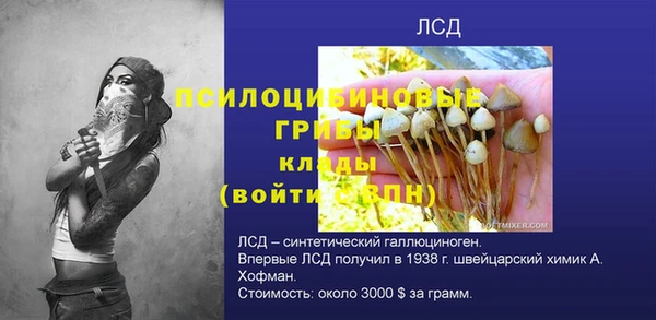 PSILOCYBIN Барнаул