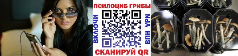 Галлюциногенные грибы Magic Shrooms  Асино 