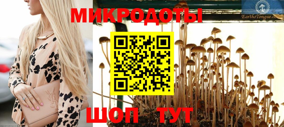 Асино  Галлюциногенные грибы Cubensis  Вход с VPN 