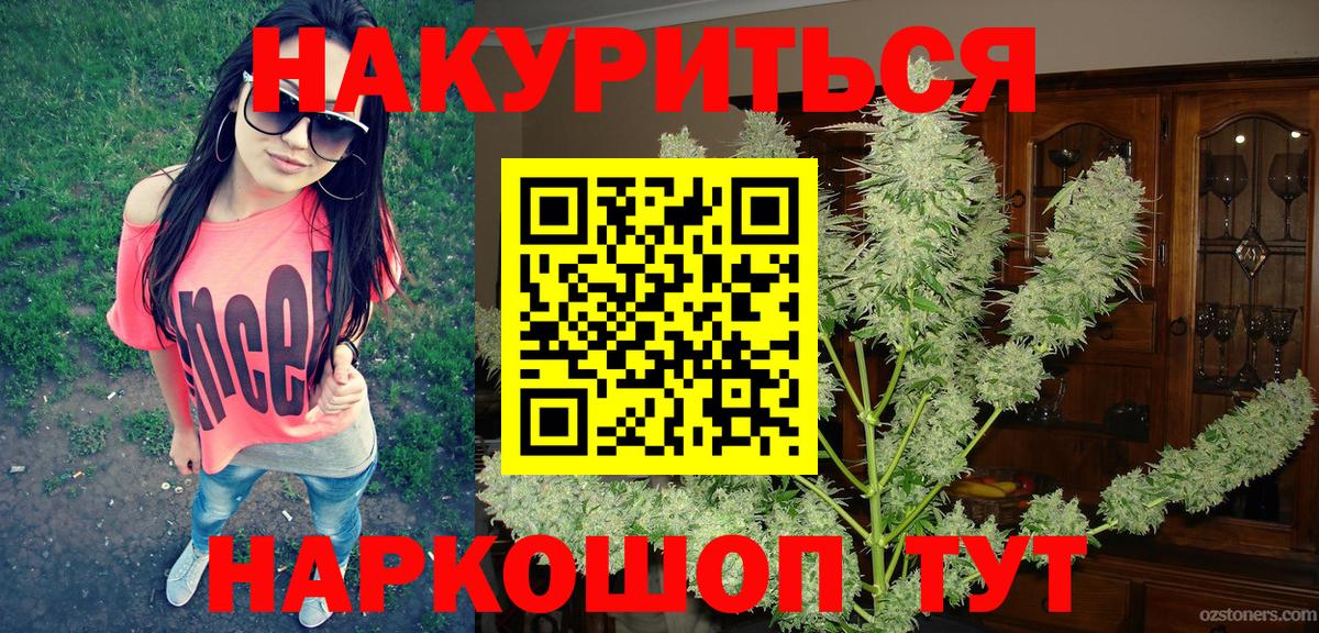 Марихуана план  Асино  Бошки Шишки OG Kush  Бошки Шишки гибрид 