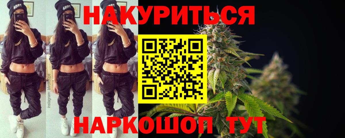 Канабис ГИДРОПОН Асино